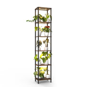 Bstrip front view tall 6-tier stand shows space and stability