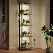 Bstrip front view of 66in plant stand showing five tiers and decorative display benefit
