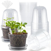 BTPLASTIK front view of 15-pack clear nursery pots showing organized set and convenience