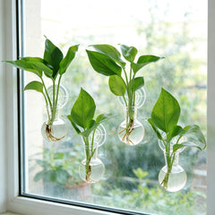 Bunmery suction cup close-up showing secure mount and easy tool-free installation benefit