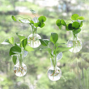Bunmery glass bulb front view showing clear vase and hanging hook benefit visibility