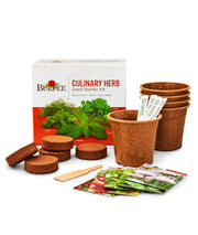 Burpee pack front and contents showing seed packets and supplies for easy setup