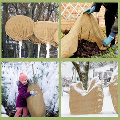 Buryeah roll used in garden demonstrating breathable plant protection benefit