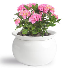 BUYMAX front view glazed outer pot showing sleek finish and easy compatibility