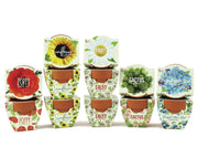 BUZZY front packaging showing 12-pack kit and easy start benefits