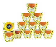 BUZZY front packaging showing complete sunflower grow kit for easy gifting