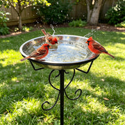 CALIDOLA front view of bird bath showcasing polished stainless bowl and black stand benefit durable design