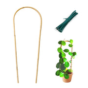 Cambaverd trellis front packaging showing six bamboo stakes and included ties, tidy storage benefit