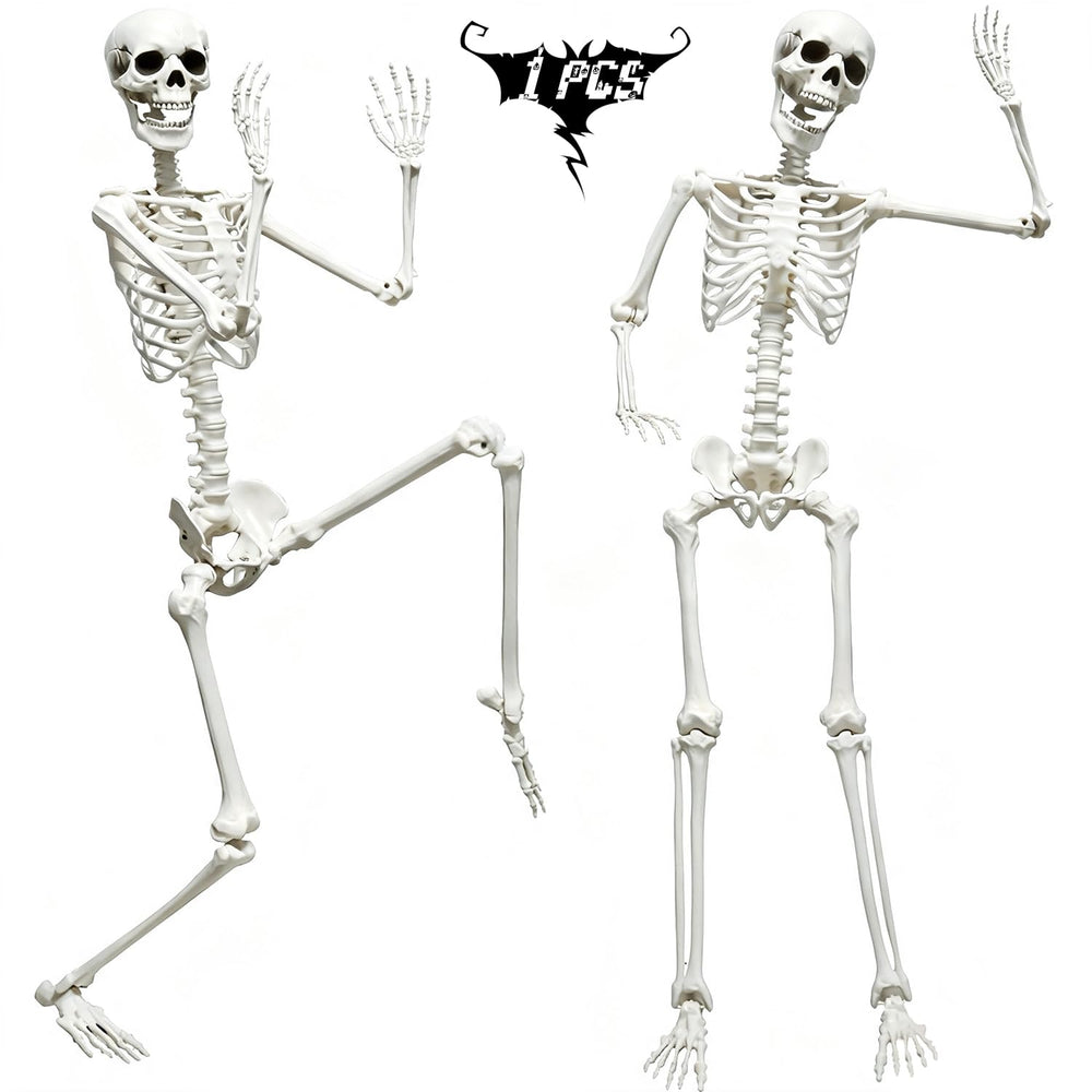 CAMIRUS skeleton front view showing full life-size pose and realistic look