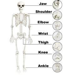 CAMIRUS skeleton hanging display from tree showing easy outdoor use