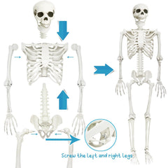 CAMIRUS skeleton seated on bench creating spooky yard decor atmosphere