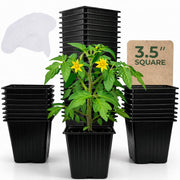 CARPATHEN front view of 60-pack seedling pots showing compact packaging and quantity benefit
