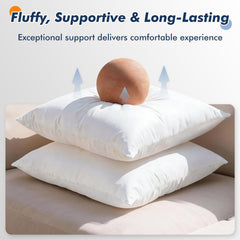 CASAJOY detailed stitching and fabric texture showing durable construction benefit