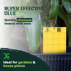 Catchmaster trap staked in potted plant protecting leaves