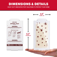 Catchmaster glue board placed along baseboard capturing crawling insects