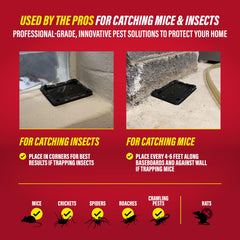Catchmaster trap placed against baseboard demonstrating discreet placement