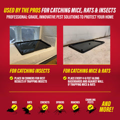 Catchmaster trap beside ruler showing size for optimized coverage benefit