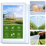 Ceblish front packaging showing roll size and clear coverage benefit