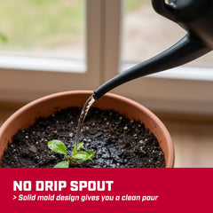 CHAPIN watering a houseplant demonstrating accurate flow and mess-free use