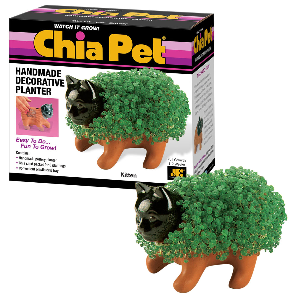 Chia Kitten terracotta front view showing shape and planting surface, Chia brand charm