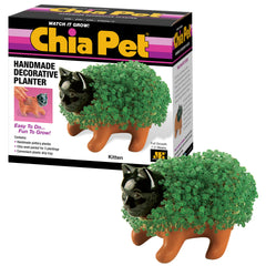 Chia Kitten terracotta front view showing shape and planting surface, Chia brand charm