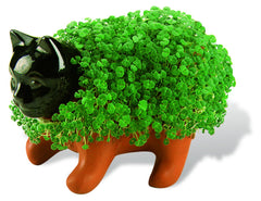 Chia Kitten on a desk in a bright room, Chia brand brings playful greenery to workspace