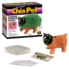 Chia Kitten beside a coffee mug for scale, Chia brand compact planter fits small spaces