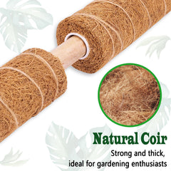 CHIAFFI close-up of coir texture showcasing grip for aerial roots and moisture retention