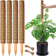 CHIAFFI front packaging showing four 18-inch moss poles and included jute rope benefits organization