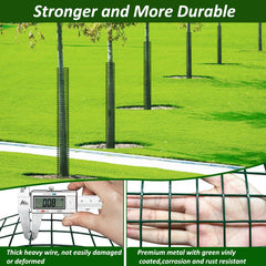 chicarry wrapped mesh guard on sapling protecting bark from animals