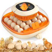 Chickcozy incubator front view showing capacity and compact design benefit