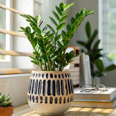 Chonsun planter close-up of reactive glaze and carved detail, highlights finish