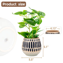 Chonsun planter with succulent on windowsill, brand brings compact greenery indoors
