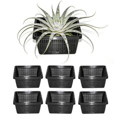 CHTASO front view of square mesh basket showing stable rim and flat base benefit
