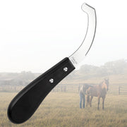 Chumia bot egg knife front view, clear shape and immediate recognition benefit