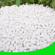 CJGQ front bag shot showing 7 lb white pebbles and product clarity
