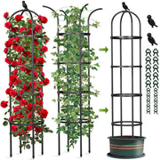CL FUN obelisk front view showing full 6.2 ft height and elegant shape