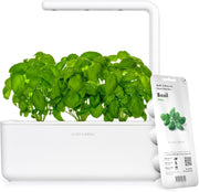 Click and Grow front view showing white smart garden and healthy herbs, easy freshness