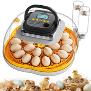 CluckRun incubator front panel showing controls and quiet design benefit