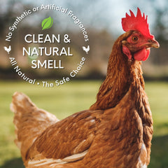 Coop Care spray mist in a chicken coop reducing odors quickly