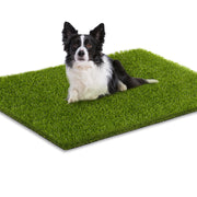 CooRug front view of 36x24 turf mat showing realistic lawn appearance and curb appeal