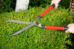 Corona Clipper HS 3950 blade close-up highlighting high-carbon steel edge for cleaner cuts
