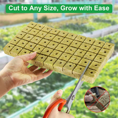 CrazyTerra soaked cube demonstrating water retention without sogginess, supports healthy roots