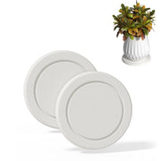 Creproly top view of a 6-inch saucer showing absorbent surface and modern look