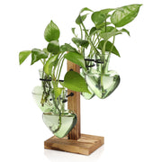 CYZglass front view with wooden stand showing four colorful bottles and neat display benefit