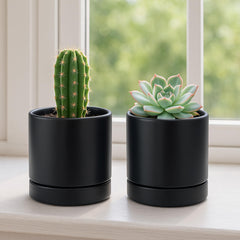 D'vine Dev close-up showing ceramic texture and durable glossy finish benefit
