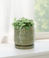D'vine Dev embossed leaf close-up highlighting textured decorative detail