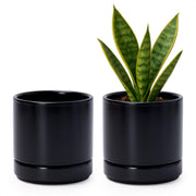 D'vine Dev front view of two black pots, modern look and space-saving
