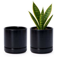 D'vine Dev front view of two black pots, modern look and space-saving