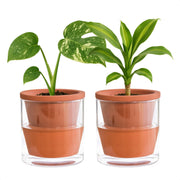 D'vine Dev front view showing compact planter and neat profile benefit: space-saving display